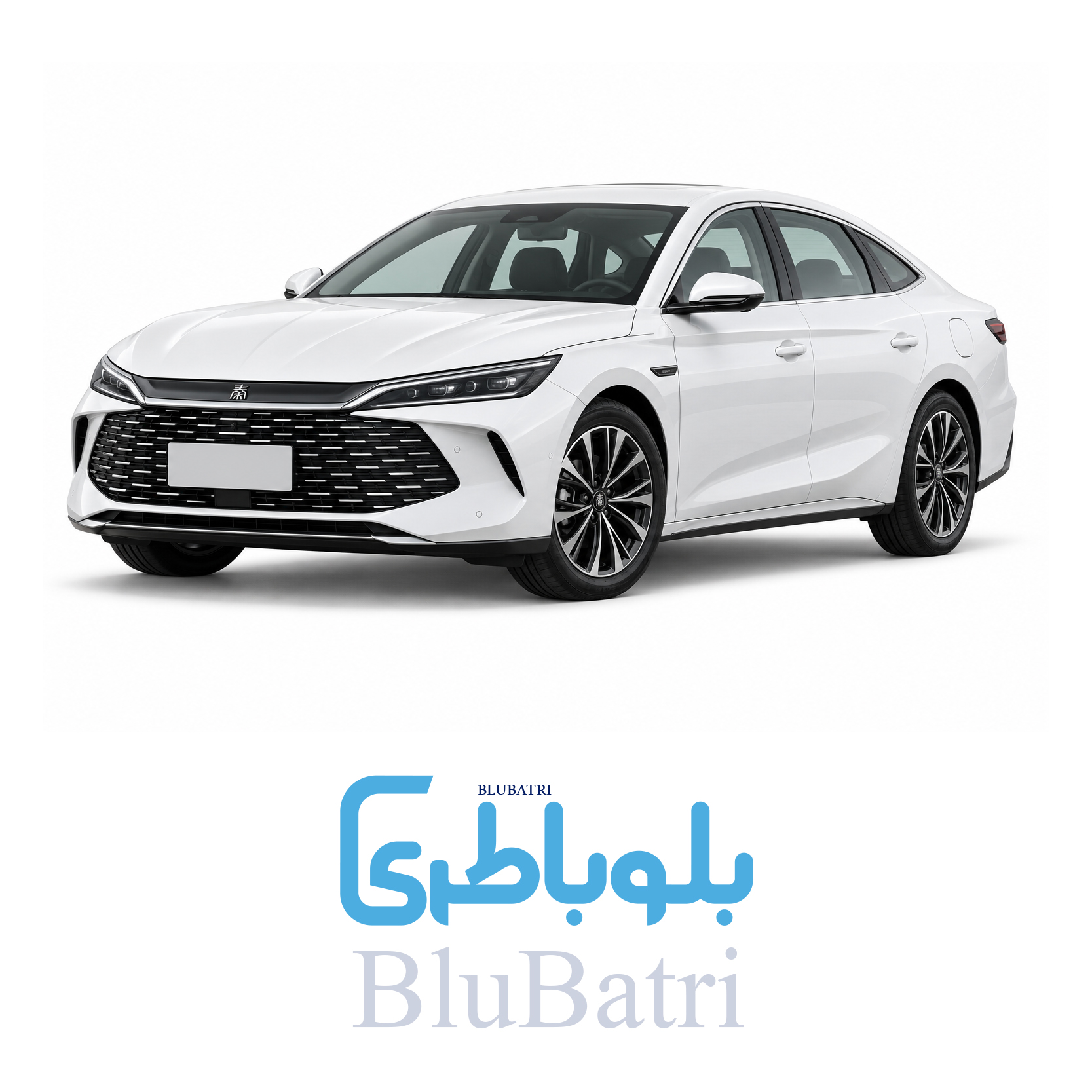 باتری بی وای دی چین ال