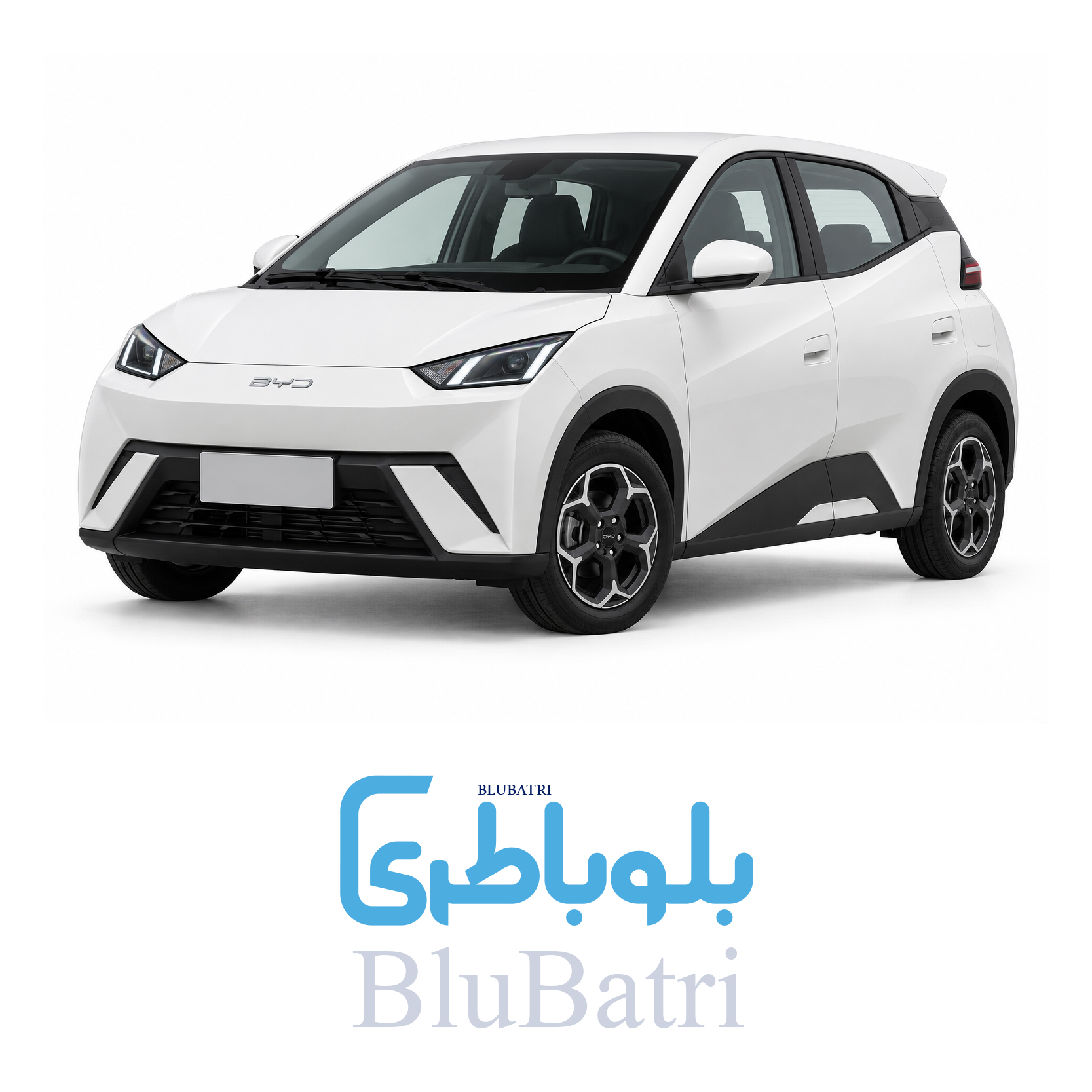 باتری بی وای دی سیگال